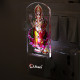 UKANI® UV 016 GANESHA WITH LAXMI   Design single color white light UV Multi color Print Night Lamp for Temple/Home/Office/gift