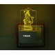 UKANI 3D Aai Shree Mogal Mataji Design with 7 color automatic Changing Light For Home bedroom Gift  Cafe Office Valentine Gift  size (3 inch )