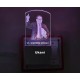 UKANI 3D Dr. Baba Saheb Ambedkar Design with 7 color automatic Changing Light For Home bedroom Gift  Cafe Office Valentine Gift  size (3 inch )